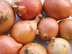 Cebula