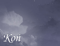 Koń